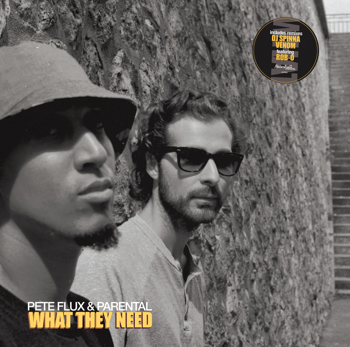 Pete_flux___parental_presentan_what_they_need