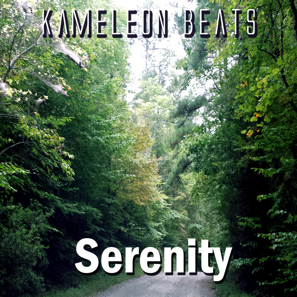 Kameleon_beats_-_serenity