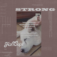 Small_koncept_strong