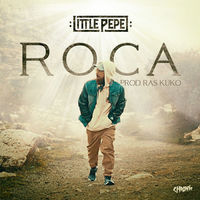 Small_little_pepe_-_roca