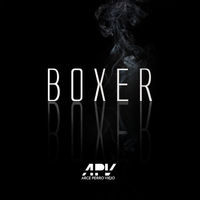 Small_arce_boxer