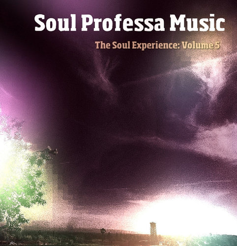 Medium_the_soul_experience_volume_5_soul_professa