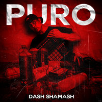 Small_puro_dash_samash