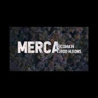 Small_merca_3coma14