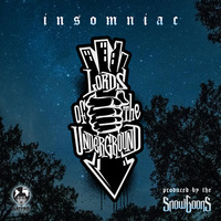 Small_insomniac_lords_of_the_underground