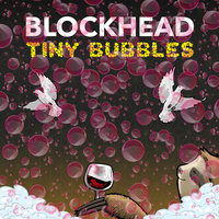 Small_tiny_bubbles_blockhead