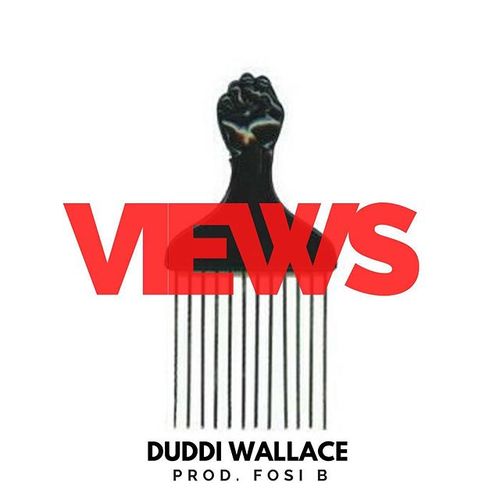 Medium_views_duddi_wallace_fosi_b