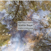 Small_reflections_scottie_royal