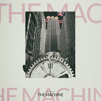 Small_the_machine_marmot