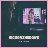 Small_high_on_shadows_marmot