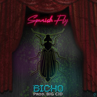 Small_bicho_spanish_fly