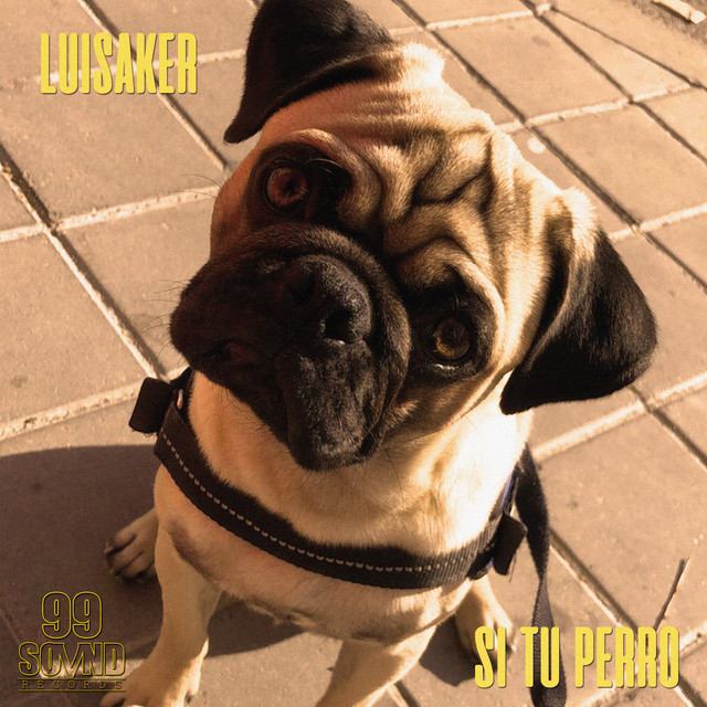 Si_tu_perro_luisaker