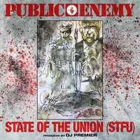 Small_state_of_the_union__stfu__public_enemy