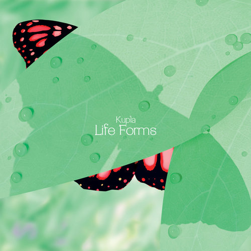 Medium_life_forms_kupla