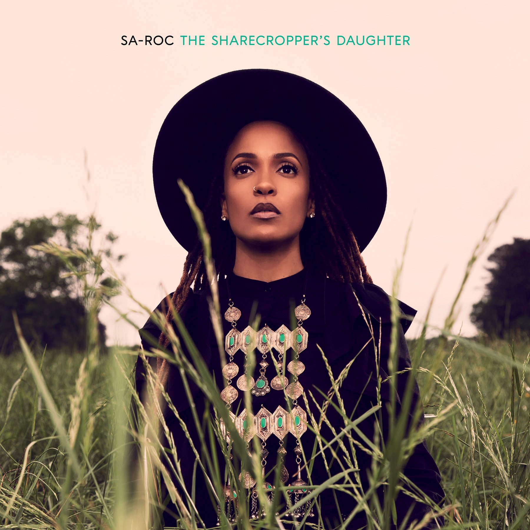 The_sharecropper_s_daughter_sa-roc