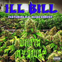 Small_what_s_my_drug_ft._d_._v._alias_khryst_ill_bill