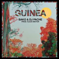 Small_bako_y_dj_pache_guinea