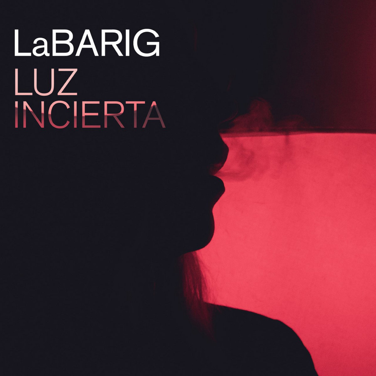 Labarig_luz_incierta