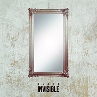 Small_blake_invisible