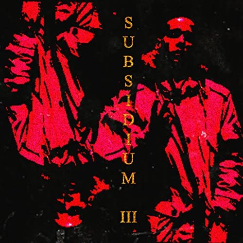 Medium_luisaker_-_subsidium_iii