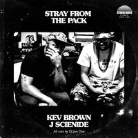 Small_kev_brown___j_scienide_-_stray_from_the_pack