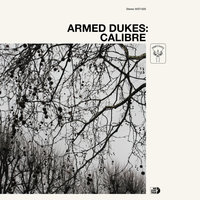 Small_calibre_armed_dukes