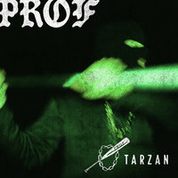 Small_prof_tarzan