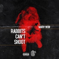 Small_rabbits_can_t_shoot_marv_won