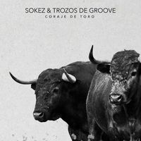 Small_coraje_de_toro_sokez_trozos_de_groove