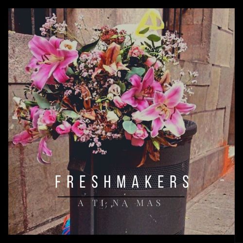 A_ti_na_m_s_freshmakers