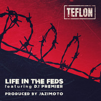Small_life_in_the_feds_teflon
