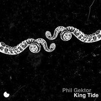 Small_king_tide_phil_gektor