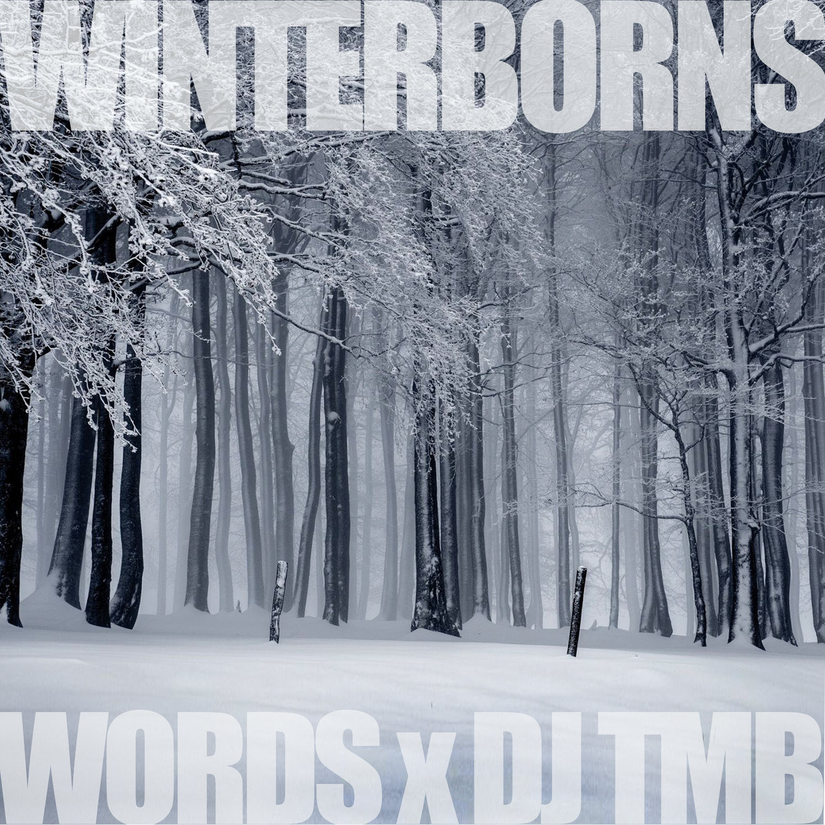 The_winterborns_words_dj_tmb
