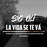 Small_la_vida_se_te_va_big_oli