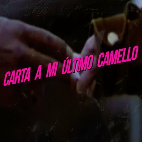 Medium_poetas_puestos_carta_a_mi__ltimo_camello