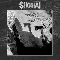 Small_sho_hai_toro_sentado
