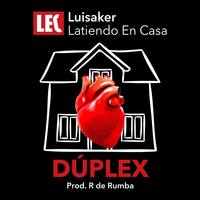 Small_luisaker_duplex