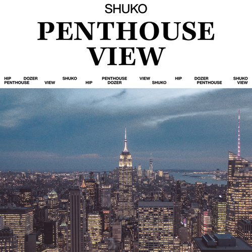 Medium_penthouse_view_shuko
