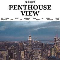 Small_penthouse_view_shuko