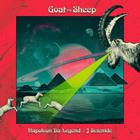 Small_goat_vs_sheep_napoleon_da_legend___j_scienide