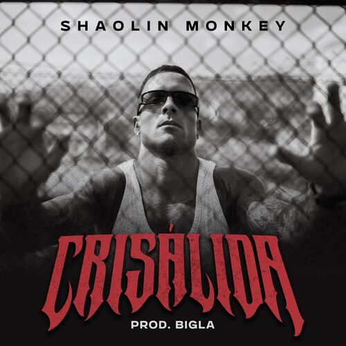 Shaolin_monkey_-_cris_lida__prod._bigla_