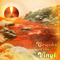Small_cracks_in_the_vinyl_planet_asia