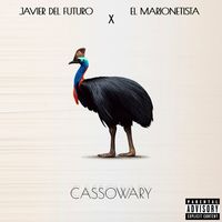 Small_cassowary_javier_del_futuro_el_marionetista