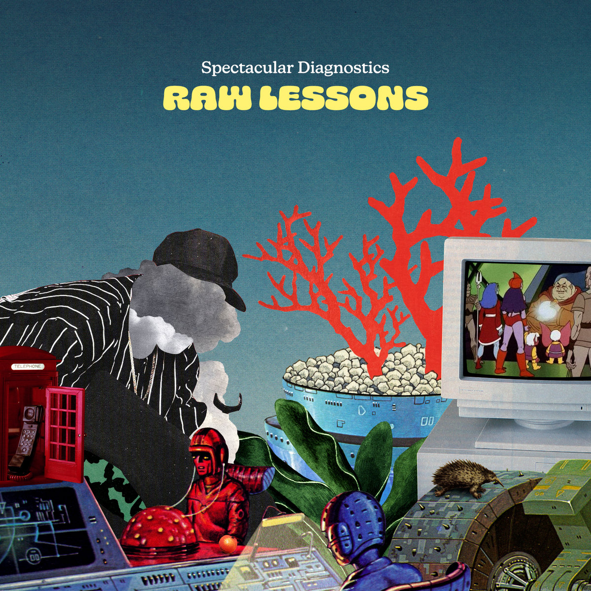 Spectacular_diagnostics_raw_lessons