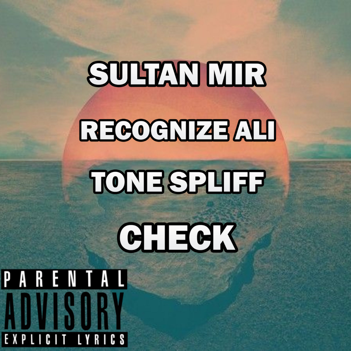 Check_sultan_mir