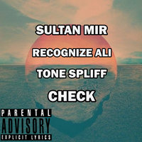 Small_check_sultan_mir