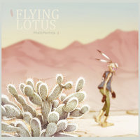 Small_flying_lotus_phalo_pantoja