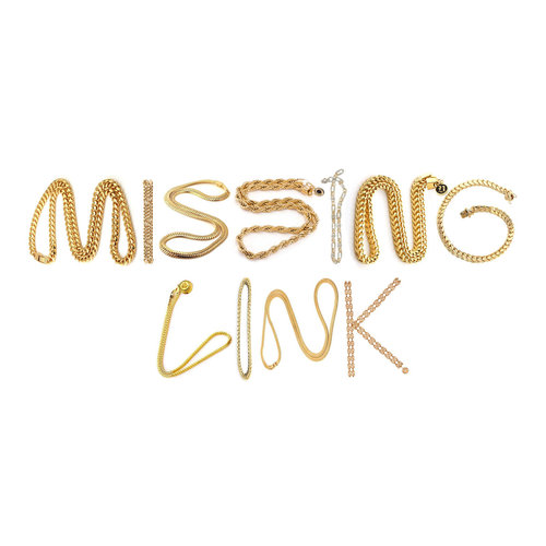 Medium_the_visionaries_missing_link