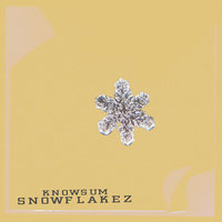 Small_snowflakez_knowsum