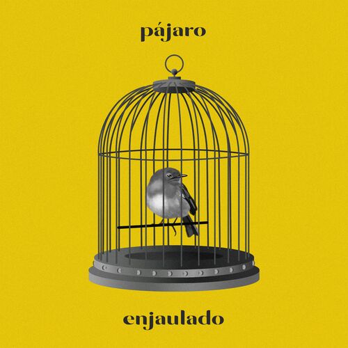 Ayax_-_pajaro_enjaulado